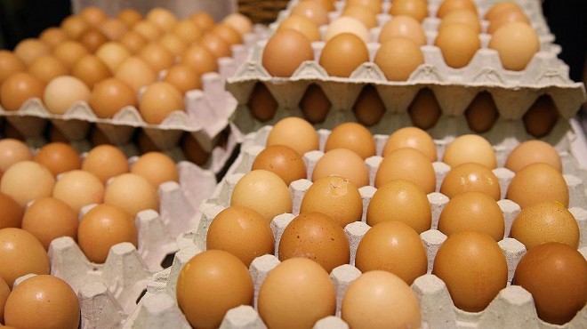  Yumurta ihracatı artmaya devam edecek 