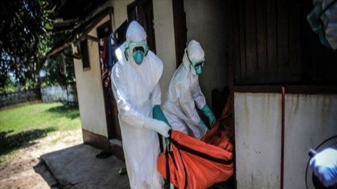 1183 kişi ebola kurbanı!
