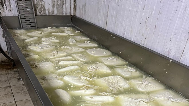 20 ton tarihi geçmiş peynir imha edildi