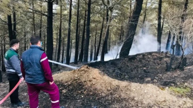 3 kentte orman yangınında son durum