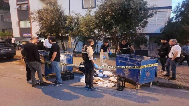 33 kedi katledilmişti... Başkan Duman: Vicdansızlar hukuk önünde hesap verecek!