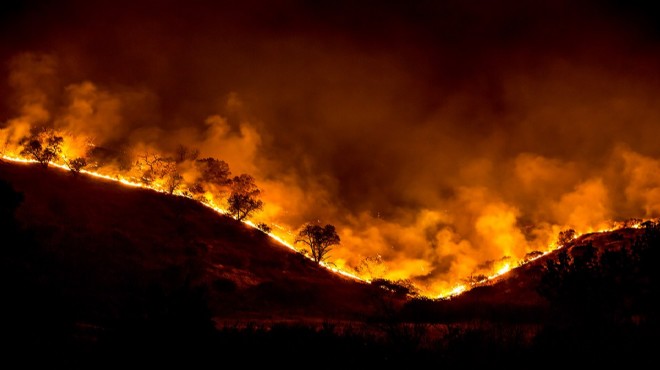 AFAD dan İzmir e orman yangını uyarısı!