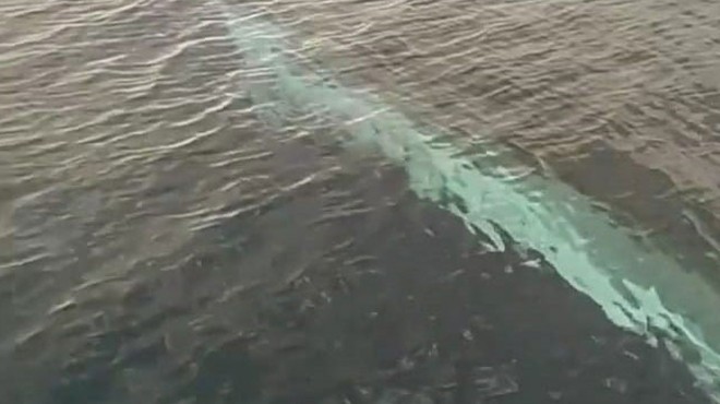 Adana da 15 metrelik oluklu balina görüntülendi