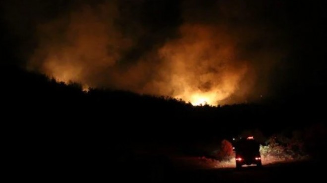 Adana da orman yangını kontrol altında