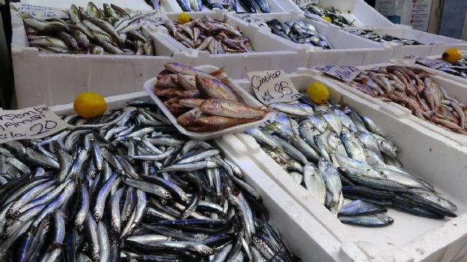 Akaryakıt maliyetleri yeni sezon öncesi balıkçıyı zora sokuyor