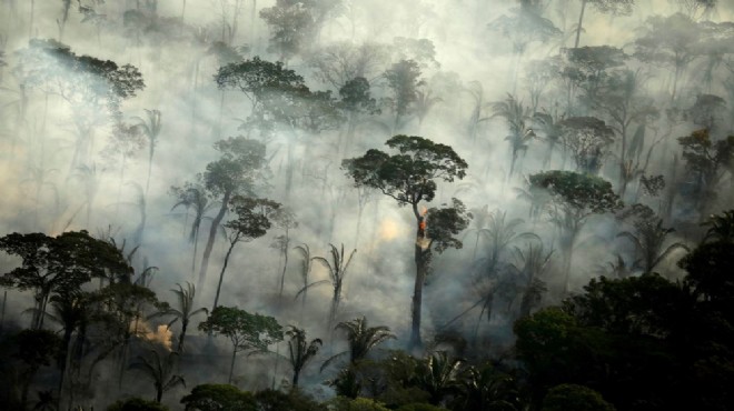 Amazonlar da 10 günde 10 bin yangın!