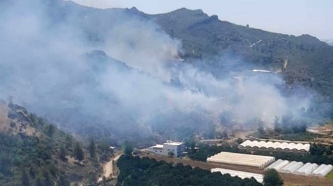 Antalya Manavgat ta orman yangını