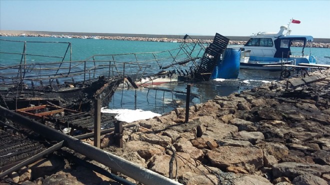 Barınakta yangın dehşeti: 4 tekne kül oldu!
