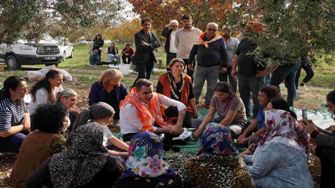 Başkan Güç zeytin hasadında konuştu: Gider kalemlerinde yüzde 200 artış!