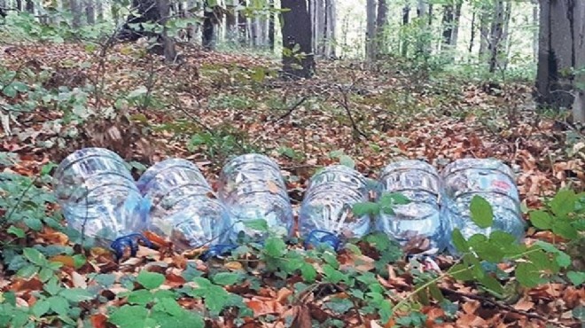 Belgrad Ormanı nda bitmeyen vandallık!