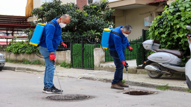 Buca'da vektörle mücadele için ekipler sahada