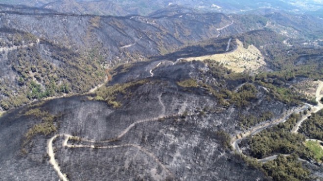 Büyük yangın sonrası MHP İzmir den hamle: Orman projesi!