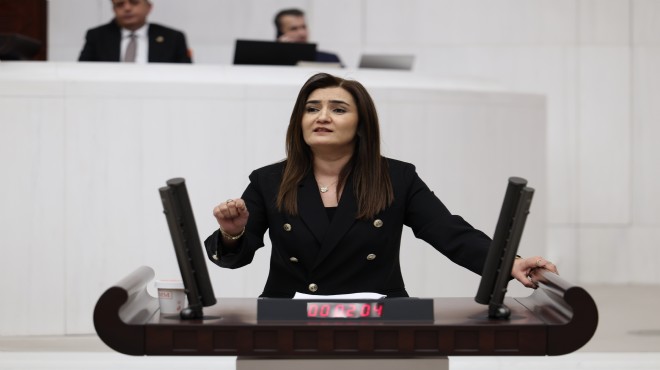 CHP'li Kılıç, Irmak'ın ölümünü TBMM'ye taşıdı