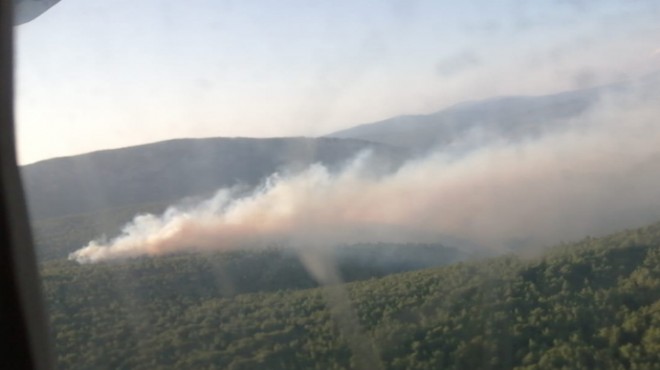 İzmir de üç ilçede orman yangını