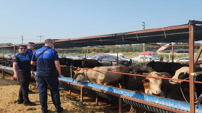Çiğli'de kurban pazarlarına sıkı denetim