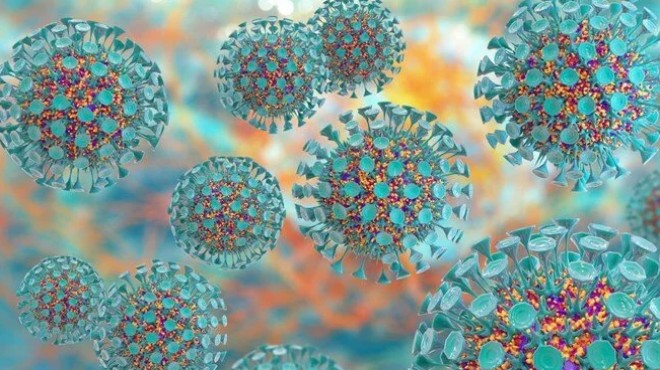 DSÖ’den önemli hepatit açıklaması