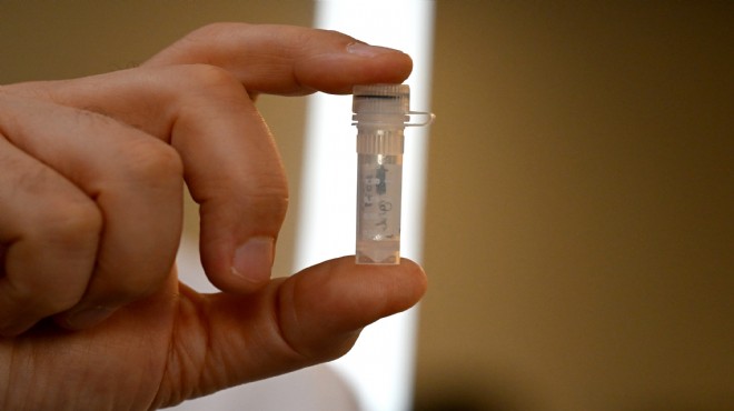 Ege Üniversitesi nin Kovid-19 aşısı insan deneyi aşamasına geldi