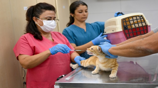Eros Kedi Kliniği umut merkezi oldu