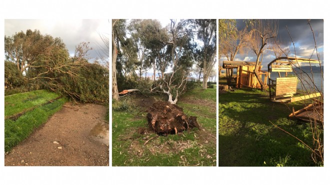 Fırtına İzmir in nefes alanını da vurdu: 250 ağaç kırıldı!