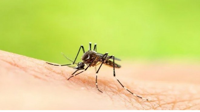 Hindistan’da Zika virüsü alarmı