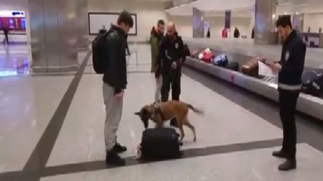 Hollanda dan gelenlere valizlerine köpekli arama
