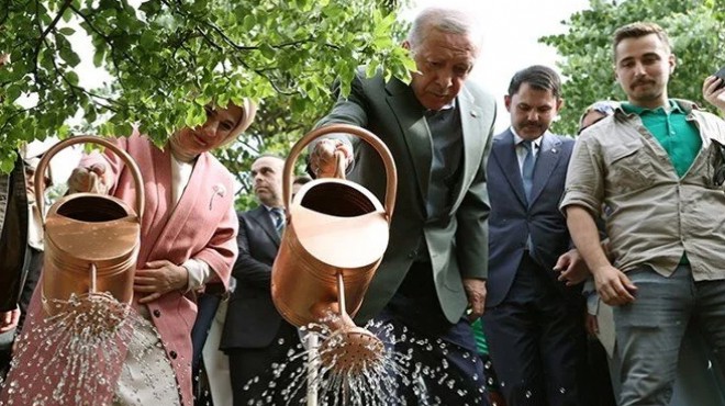 İstanbul da fetih şöleni: Erdoğan ilk fidanı dikti