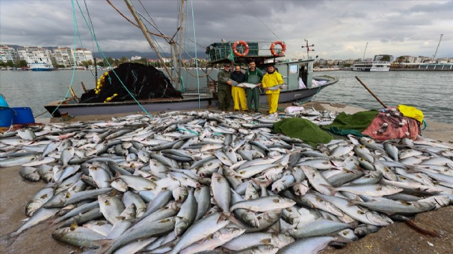 İzmir Körfezi nde bir teknenin ağlarına yaklaşık 10 ton balık takıldı