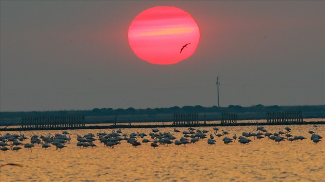 İzmir Kuş Cenneti gün batımında flamingolarla ayrı güzelliğe bürünüyor