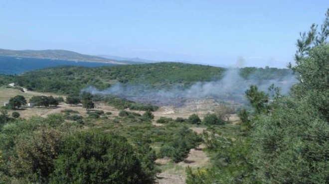 İzmir de, 1 hektar makilik alan yandı