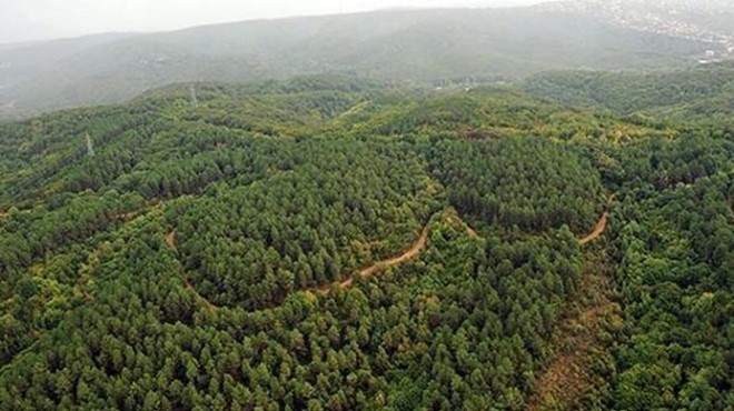 İzmir de 4 alan için  orman sınırı  kararı!