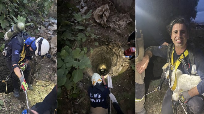 İzmir de 42 metrelik su kuyusuna düşen köpek kurtarıldı