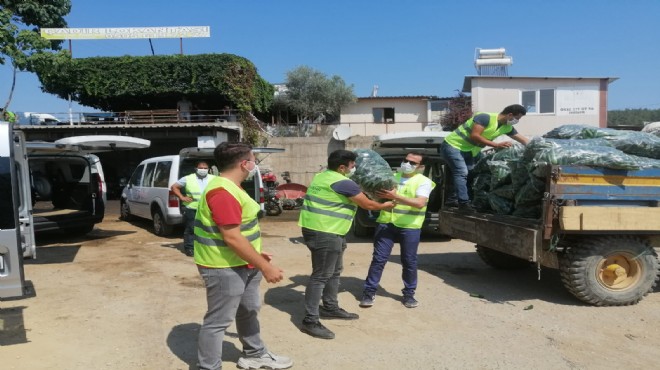 İzmir de 48 ton taze salatalık dağıtıldı