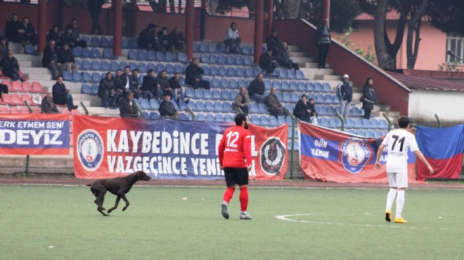 İzmir de Amatör Lig deki maçta   davetsiz misafir  damgası