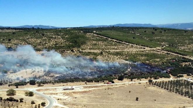 İzmir de bir yangın daha: Tarım arazisinde çıktı, ağaçlandırma sahasına sıçradı!