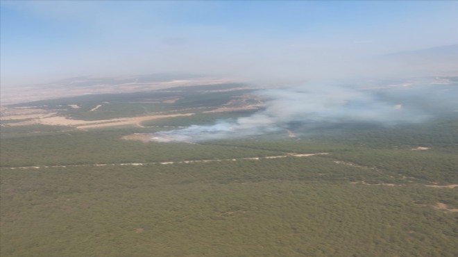 İzmir in iki ilçesinde orman yangını paniği!