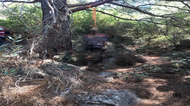 İzmir de dehşet: 5 aydır kayıptı, cesedi ağaca asılı bulundu!