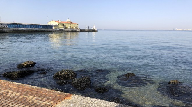 İzmir de deniz ulaşımına su seviyesi engeli: O iskele devre dışı kaldı!