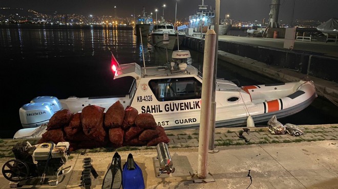 İzmir de kaçak midye avı operasyonu!