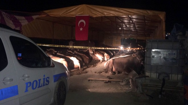 İzmir de kurban satış yerinde 3 kişinin öldüğü kavgada ceza yağdı!