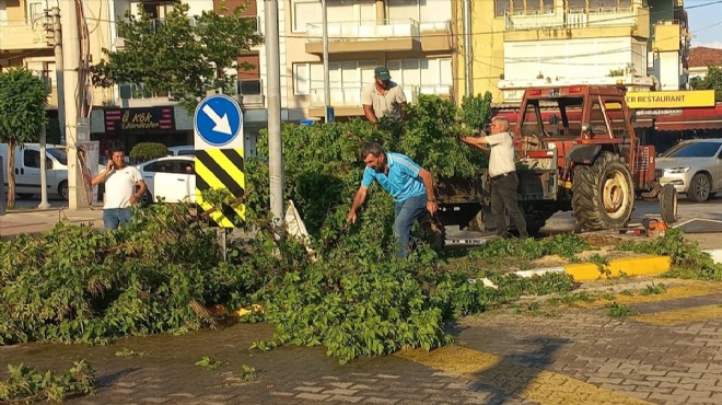 İzmir de kuvvetli rüzgar: Ağaçlar devrildi!