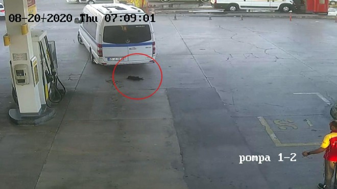 İzmir de minibüs şoförü, yavru köpeğe çarpıp kaçtı