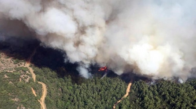 İzmir de ormanlık alanda korkutan yangın!