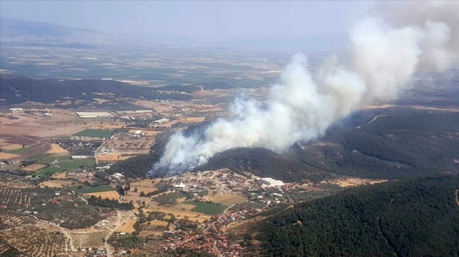 İzmir de korkutan orman yangını: Kontrol altına alındı