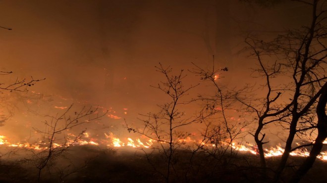 İzmir de orman yangını: 1 hektarlık alan kül oldu