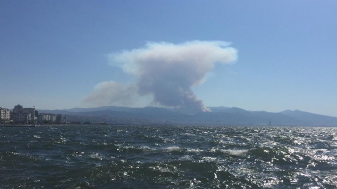 İzmir de korkutan yangın: Kontrol altına alındı