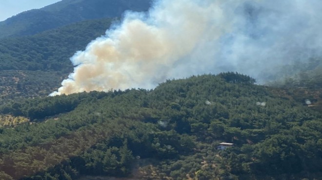 İzmir de orman yangını paniği!