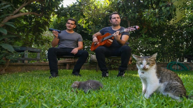İzmir de sokak hayvanları için şarkı bestelediler