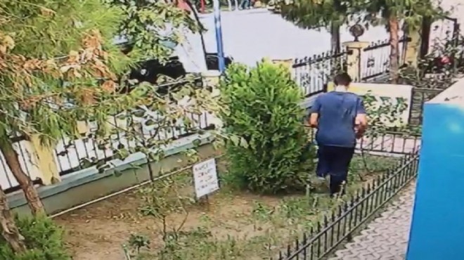 İzmir de vahşet: Yavru kediyi tekmeleyerek öldürdü