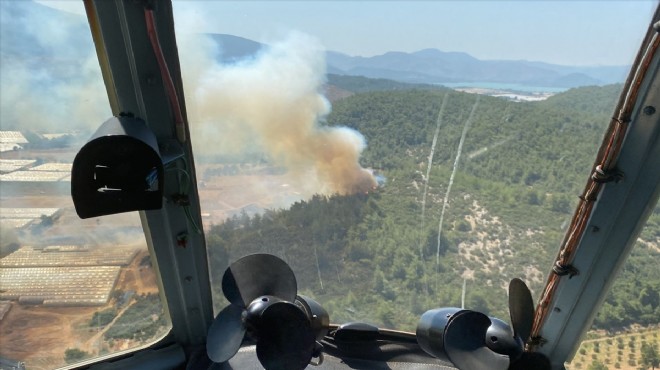 İzmir de yangın paniği: Seralardan ormana sıçradı!