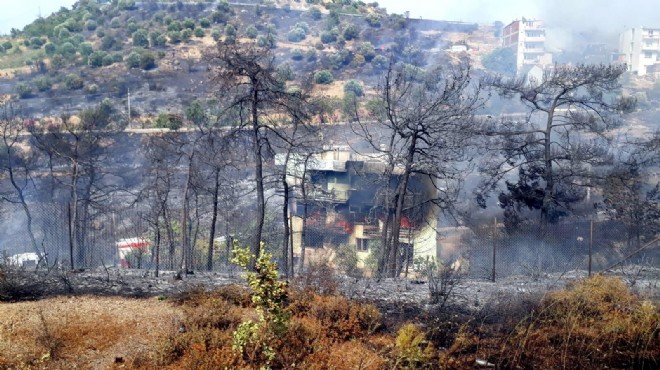 İzmir de zeytinlik alanda yangın dehşeti: Apartman ile tek katlı ev yandı